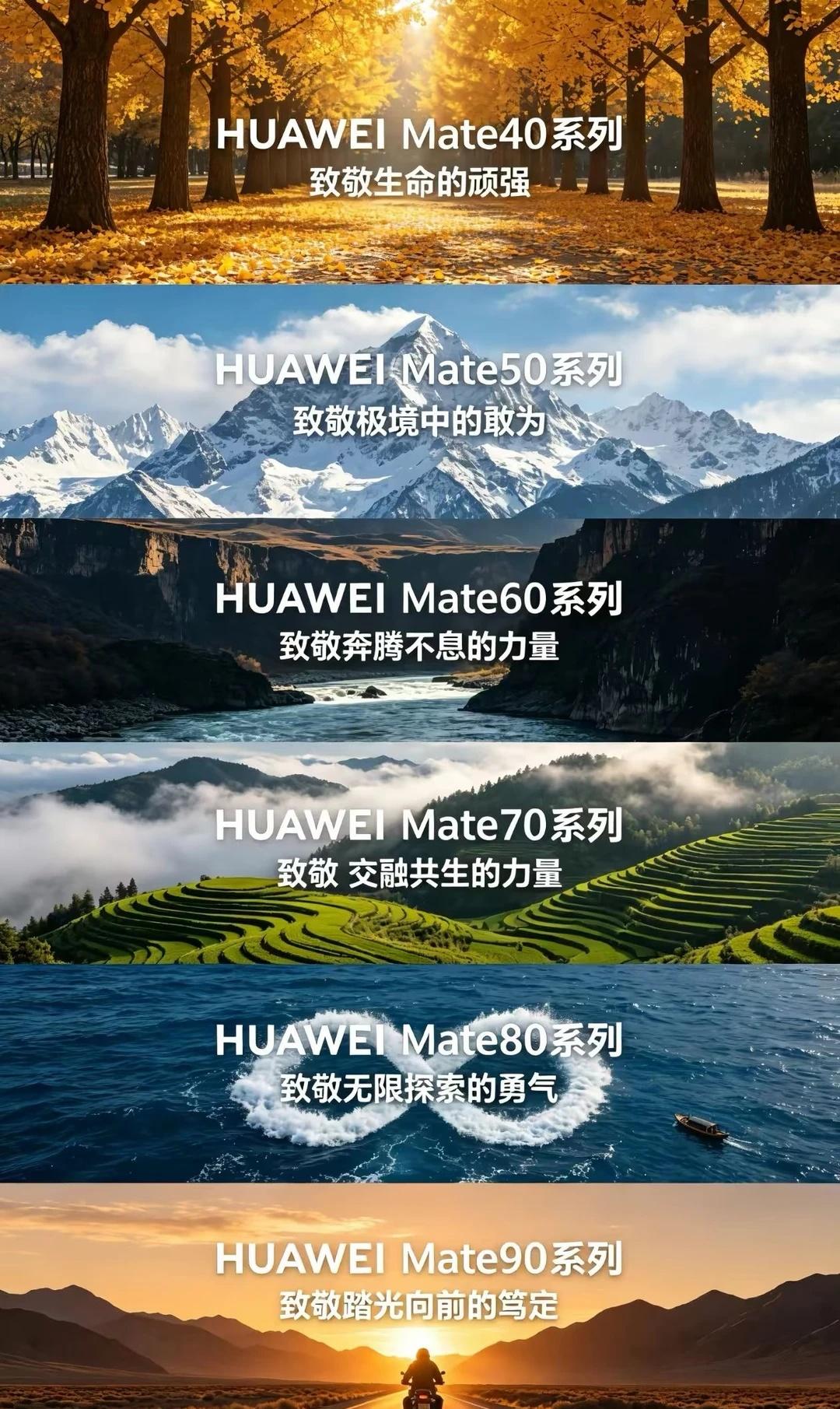能打败Mate的只有Mate
Mate40 见证胡杨
Mate50 跨越昆仑
M