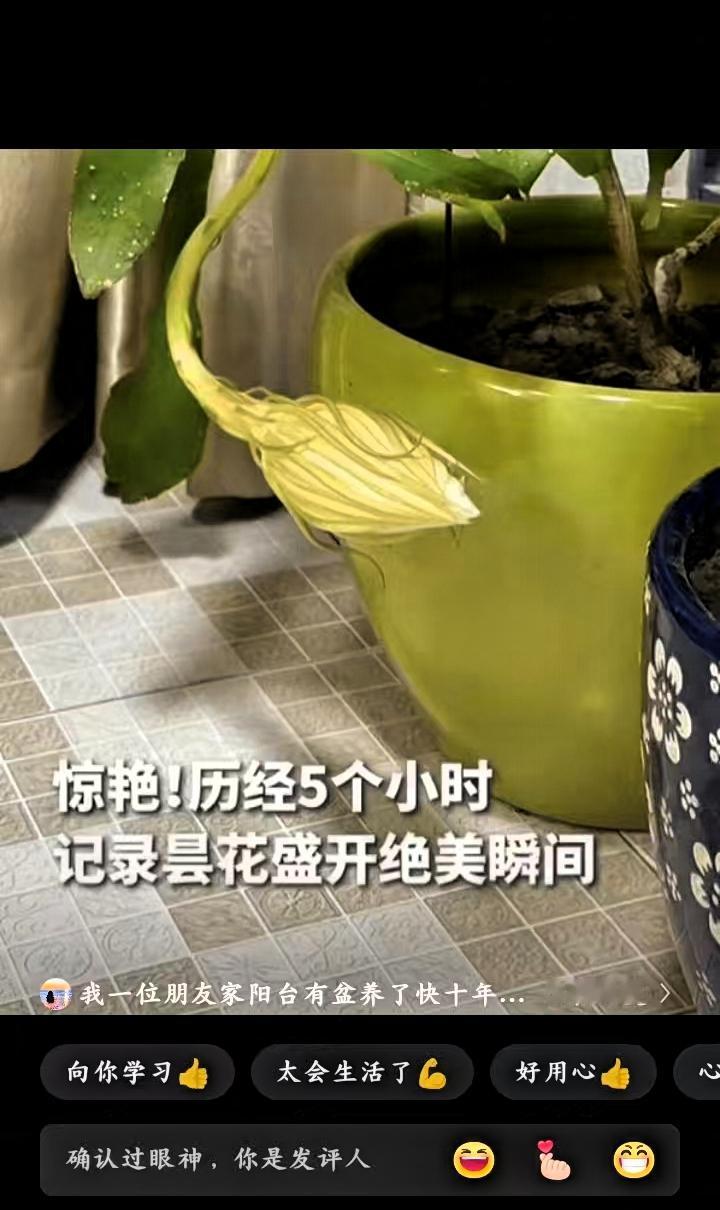 太惊喜了！江苏南京，李女士刚洗漱完要关灯睡觉，眼角余光就忽然扫到阳台那边有动静