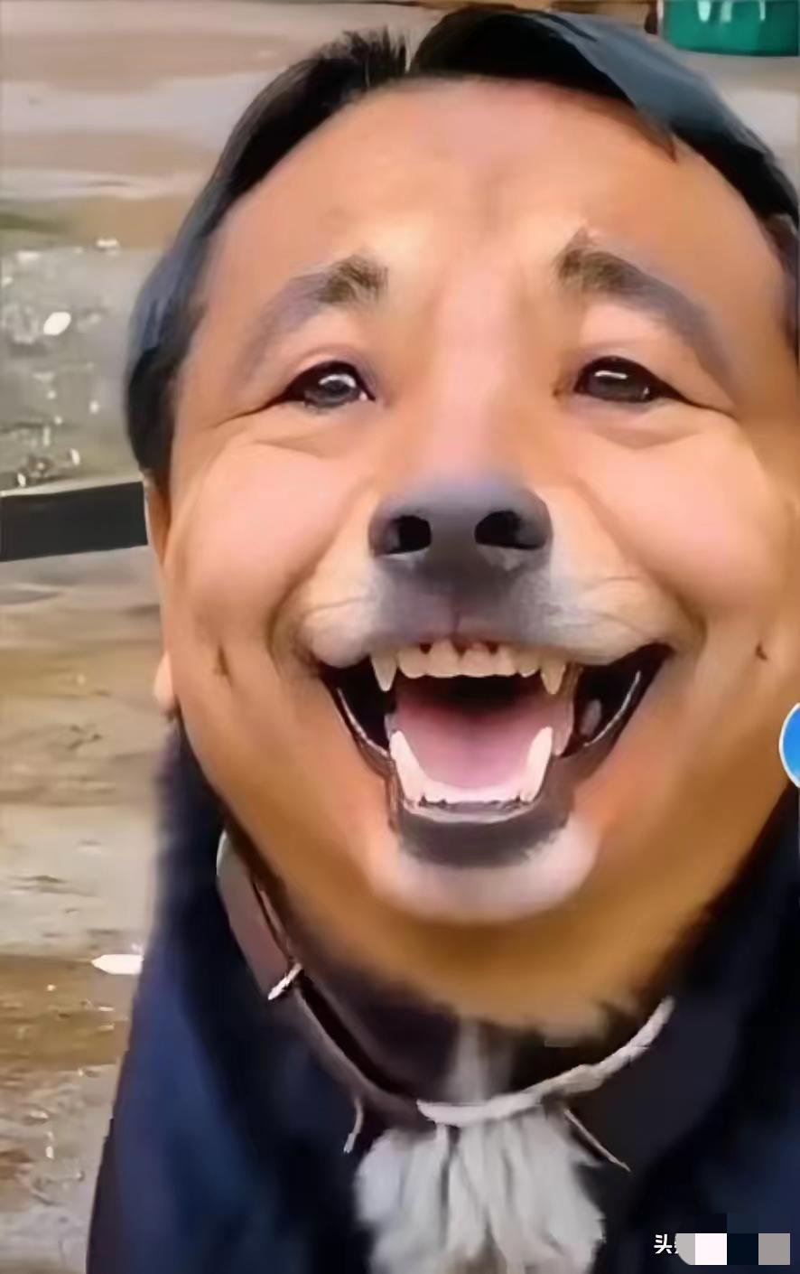 这么面熟，太像一个人，你猜它像谁？如果养这么一条狗上街会是什么情况？如果搞直搞，