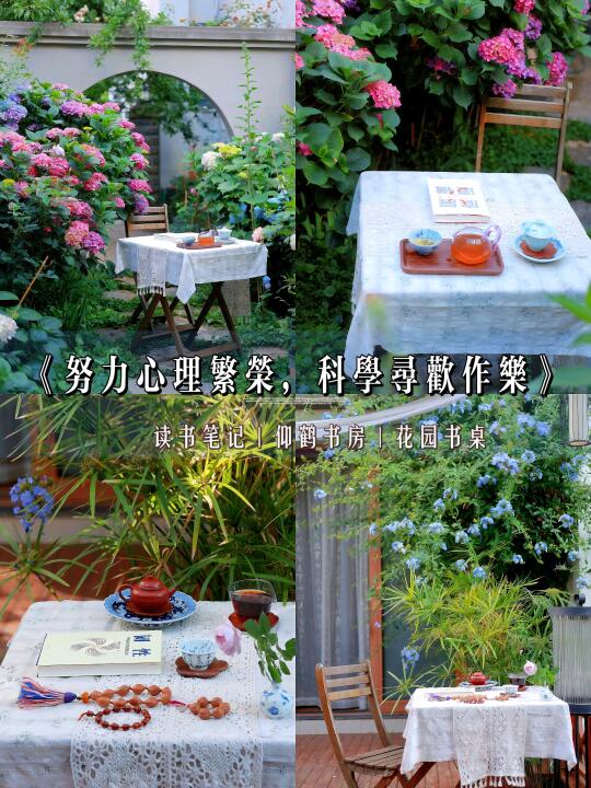 《努力心理繁荣，科学寻欢作乐》📖🍵