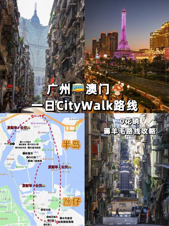 广州➜澳门｜一日游Citywalk路线攻略🗺️
