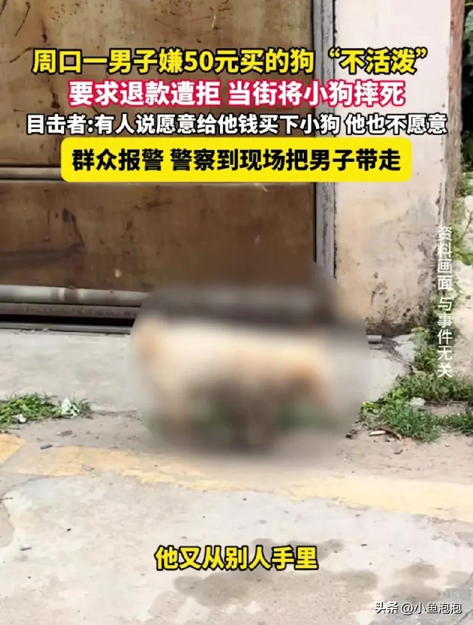 狗有什么错呢？河南周口，一男子从集市买了一只小土狗，回到家觉得小土狗不活泼，随后