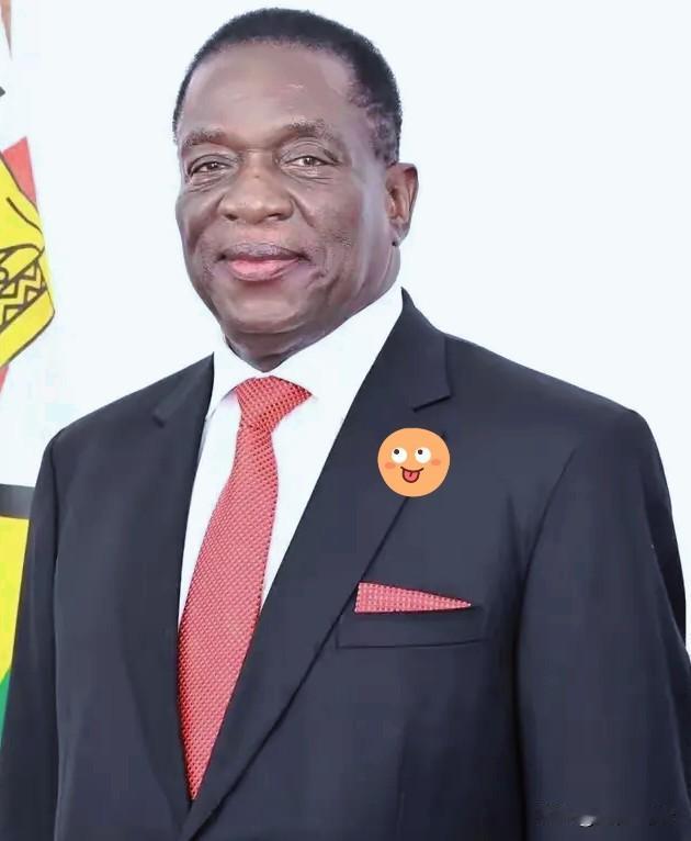 前脚巴拿马不顾中方反对，强行接管了巴拿马港口，后脚津巴布韦突然宣布暂停锂矿出口。