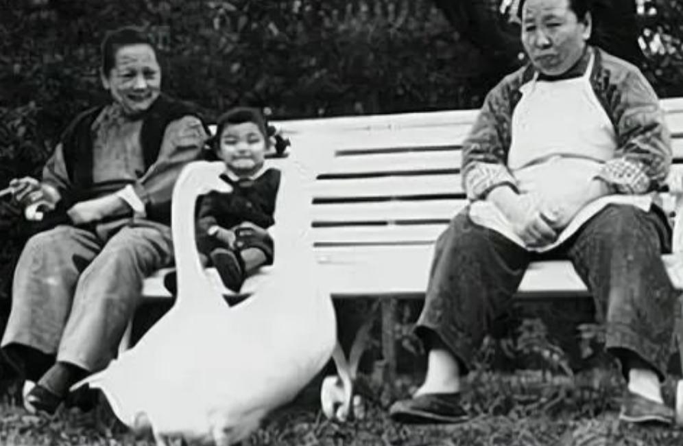 1961年11月25日，宋庆龄的保姆李燕娥走进厨房不久，厨师何元光如疯了一般，举