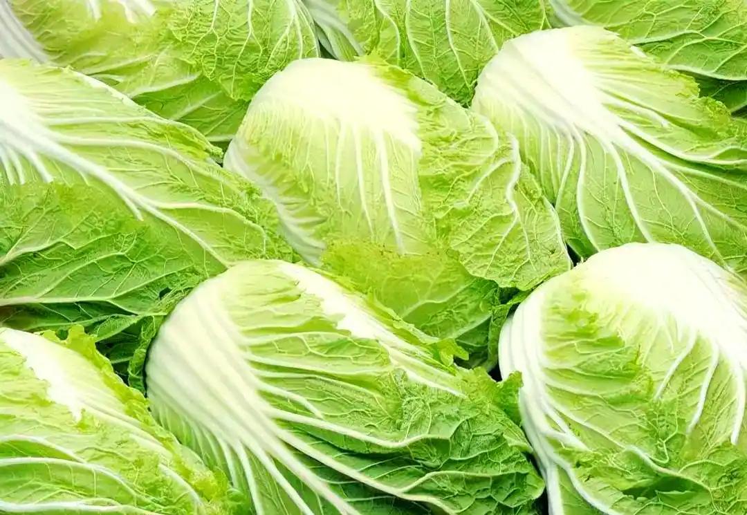 甲醛白菜惊动国务院！
最近河北省张家口市康宝县白菜收购商用甲醛泡白菜一事震惊全网