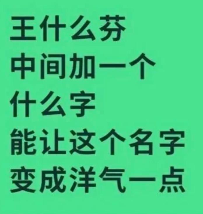 请问：王什么芬，中间加一个什么字，能让这个名字变成洋气一点？