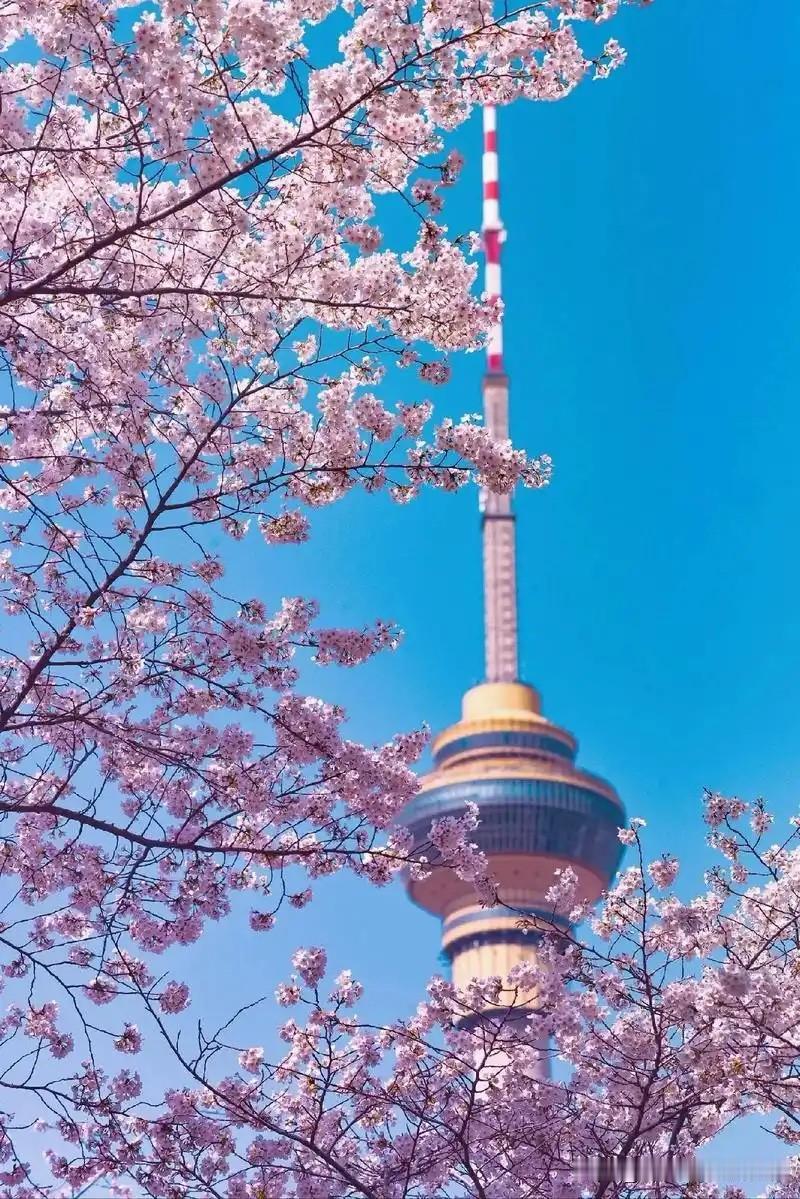玉渊潭公园位于北京市海淀区西三环中路10号，是北京市属十一大公园之一。绿化覆盖率