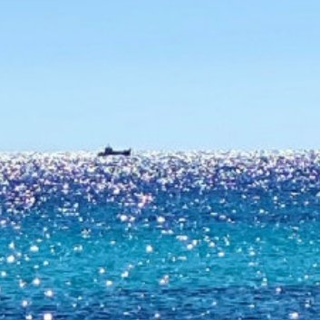 阳光信用‎阳光‎信用 ‎每日一善 本朝诗家，序事学古乐府《孔雀东南飞》而绝妙者，