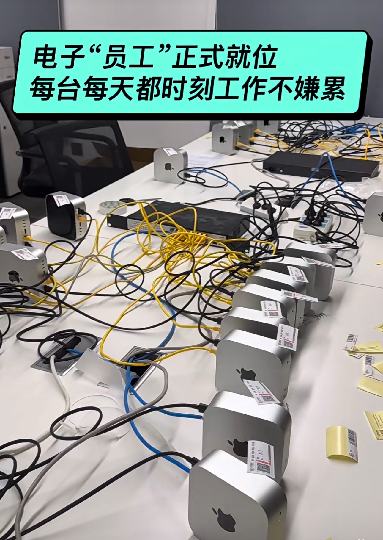 一公司养虾后裁员超50%个人装，个人装个人装完，公司装 