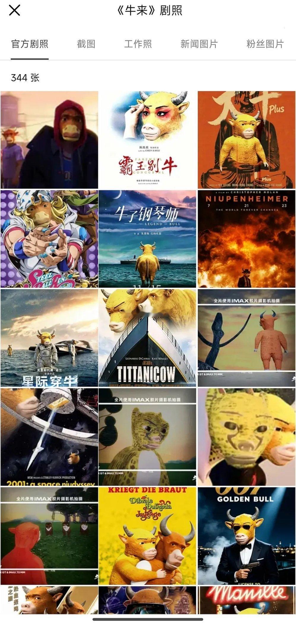 怎么也飞不出牛来的世界~~《霸王别牛》《牛子钢琴师》《星际穿牛》 