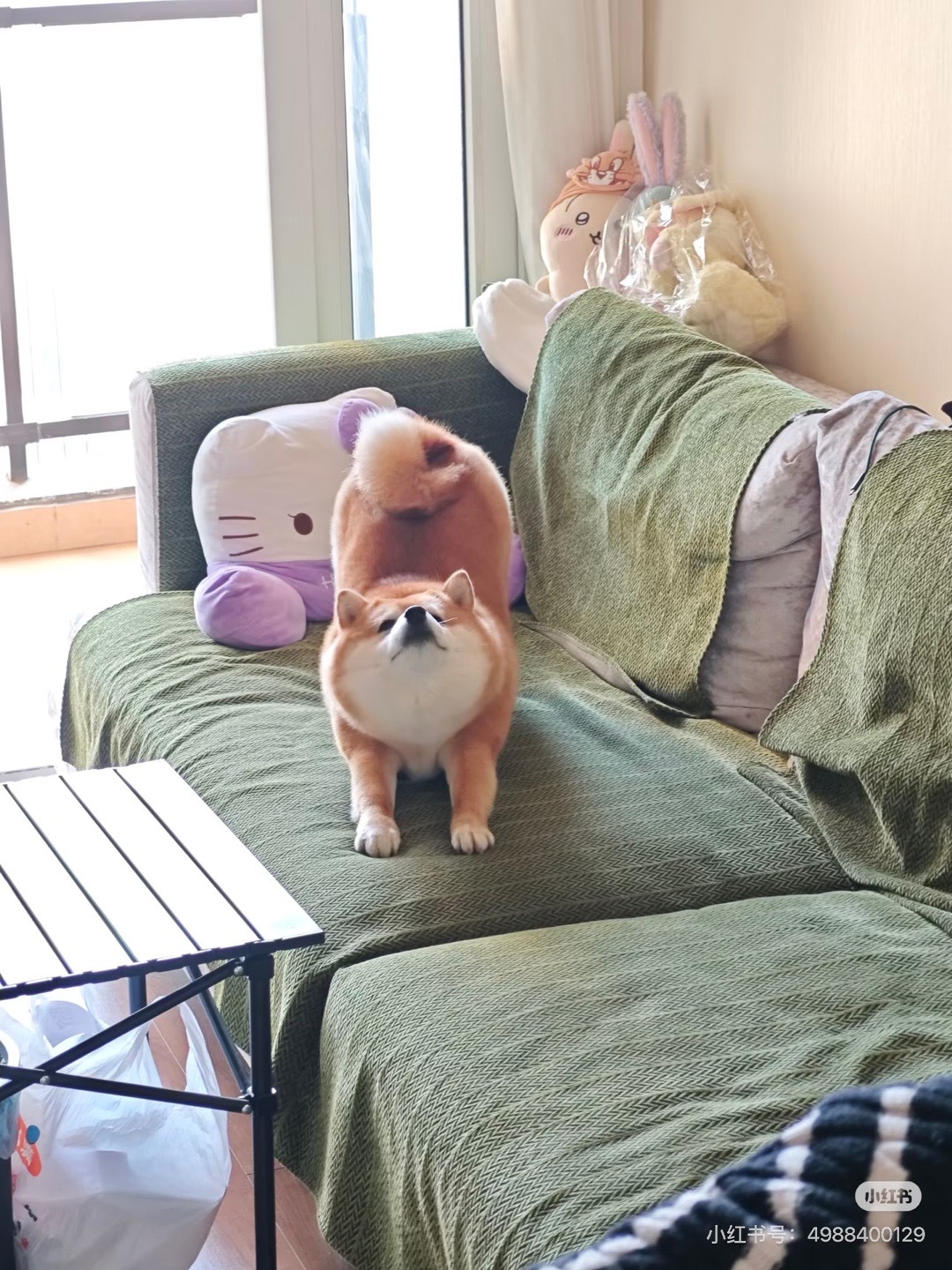 别人家的总是最好的