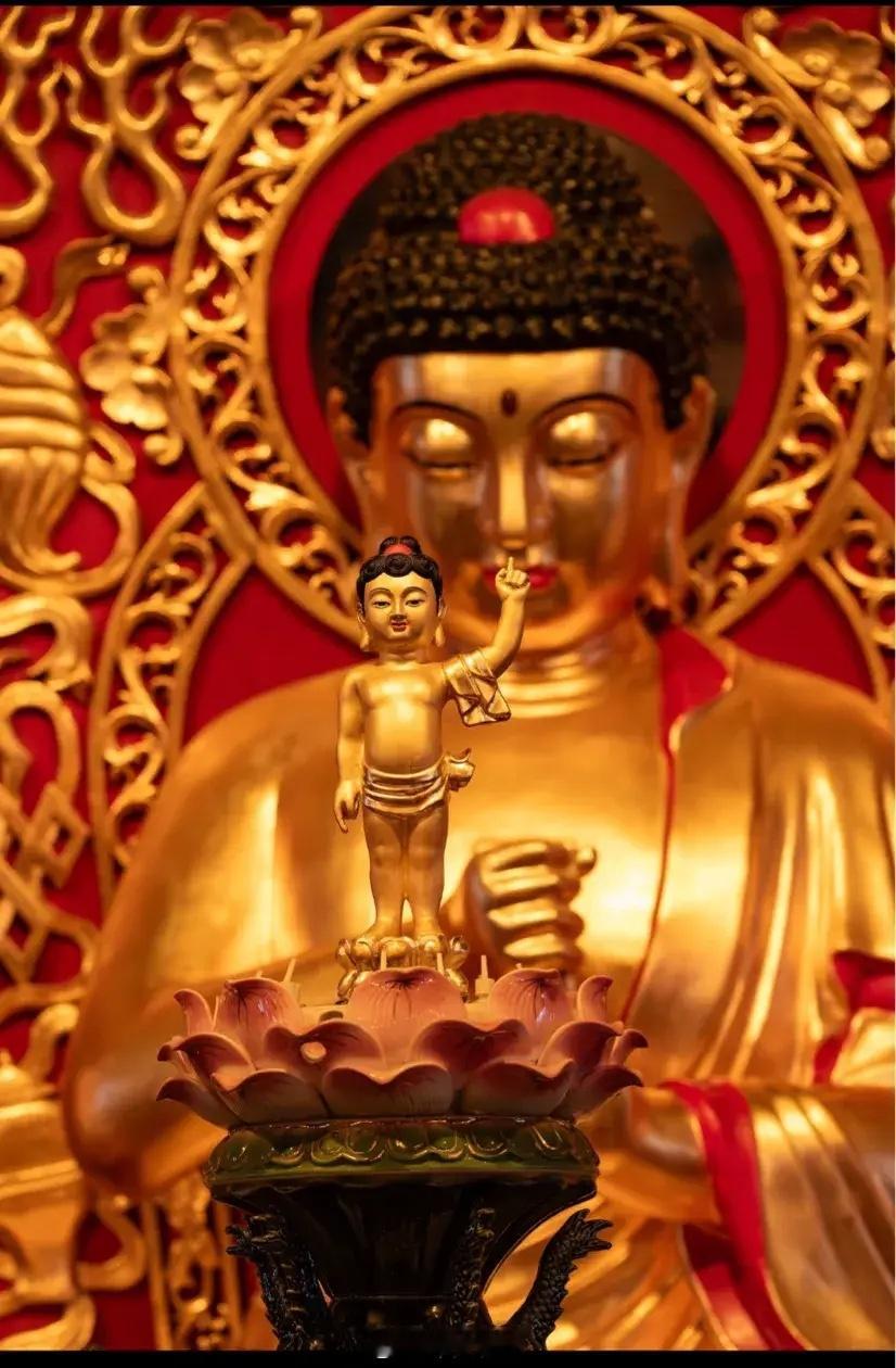 【许愿池第1533期】许愿祈福的时候到了，心诚则灵，有求必应🙏🙏🙏 