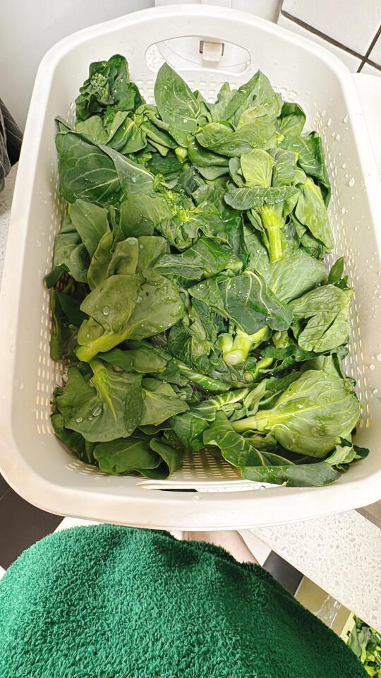 浙江人江苏人，你肯定没吃过这个！