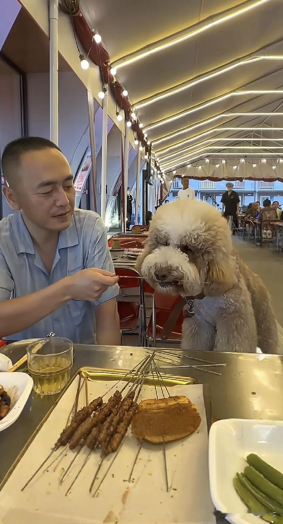 又见宠物上餐桌吃饭！

7月15日晚，内蒙古包头市萨拉齐镇某烧烤店。

一名男子
