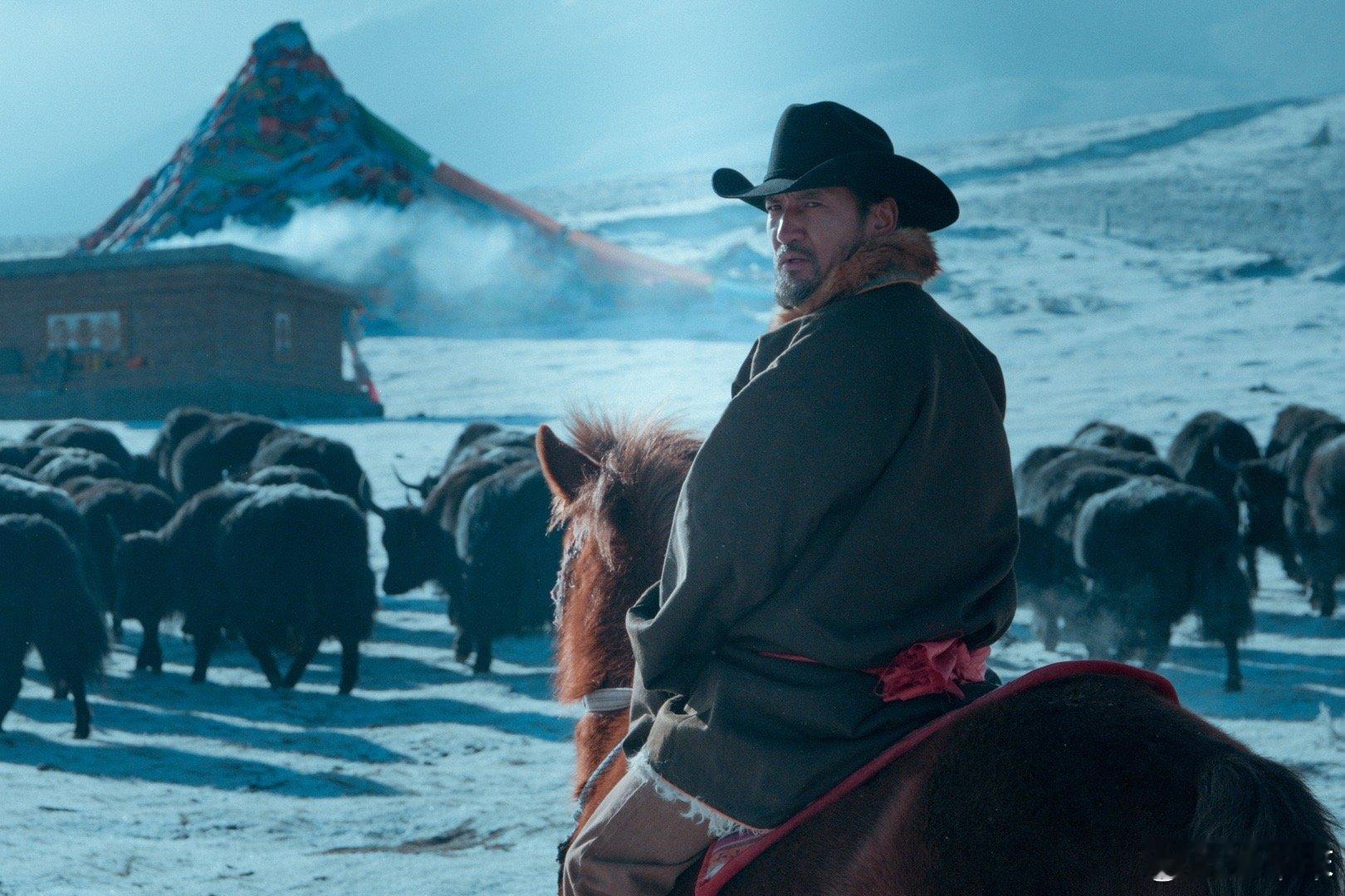 金巴过年回草原放牧 金巴演扎措圈了好多粉，过年回草原放牧的样子太戳人！没了演员光