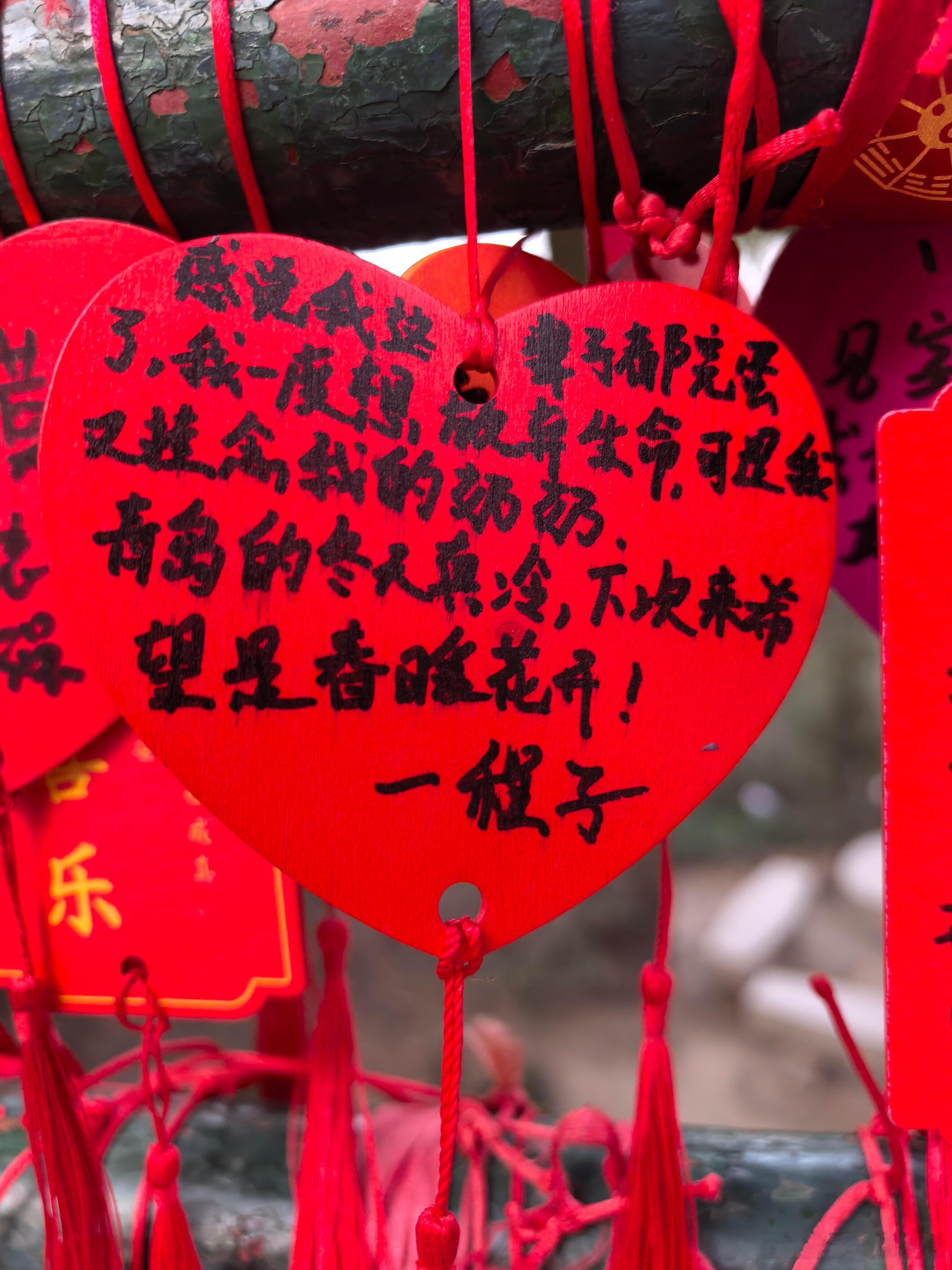 我想，世间最好的关系，莫过于真实抵达最近一直在做组织架构及权责调整事宜，眼睛都快