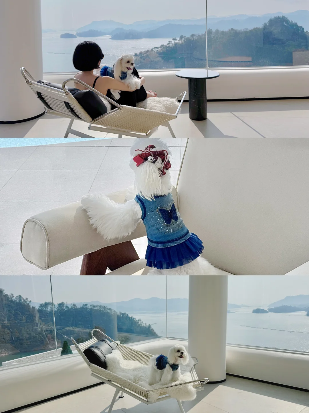 快夸景美狗美！