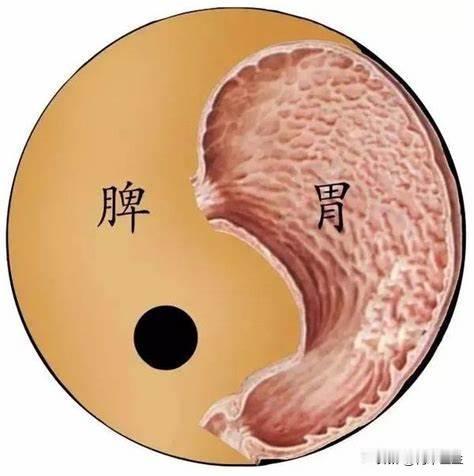 补脾要养肝，不然效果一般般，中医教你怎么肝脾同调

1.肝郁脾虚
中医上常说，肝