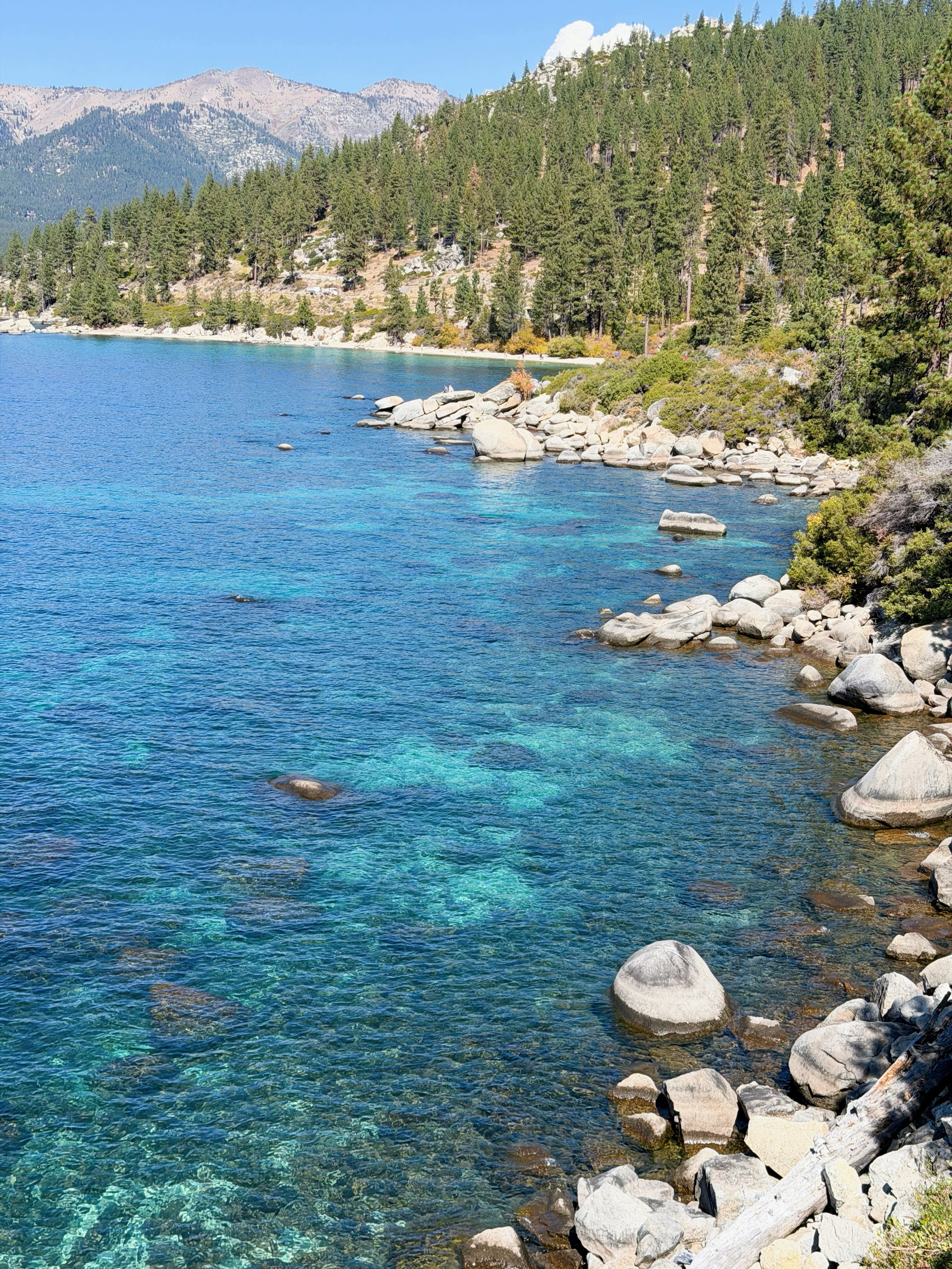 愿意再去一百遍的Lake Tahoe🌲🧊 