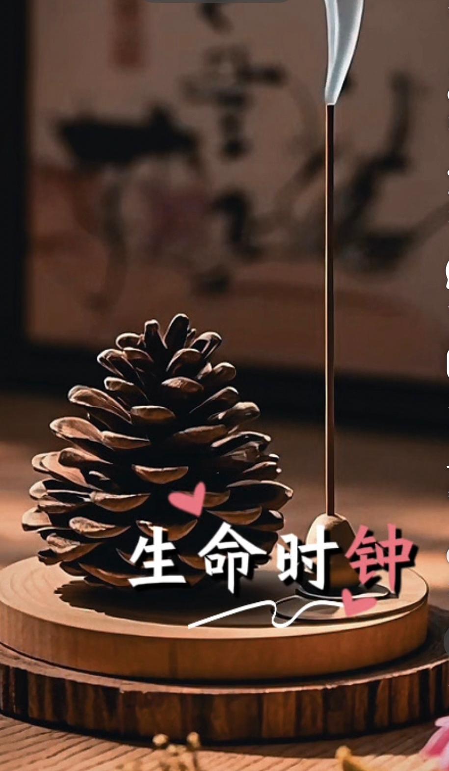 黄仁勋的生死观：在有限的生命里，无限地拥抱工作与使命

2025年3月，英伟达C