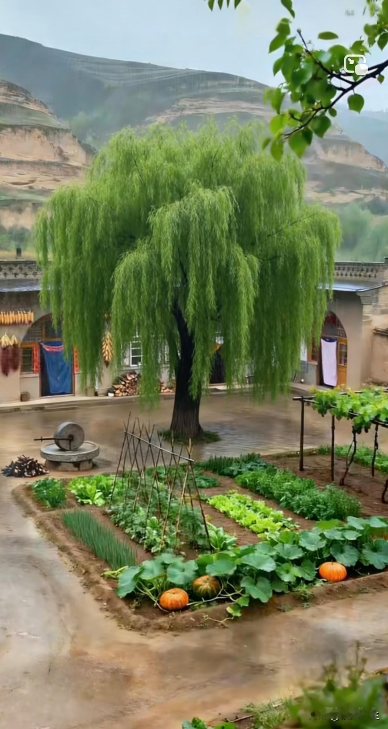 今天看到篇短文，家里做点什么好吃的，她婆婆都想着小姑子，弄的她心里很不舒服

这