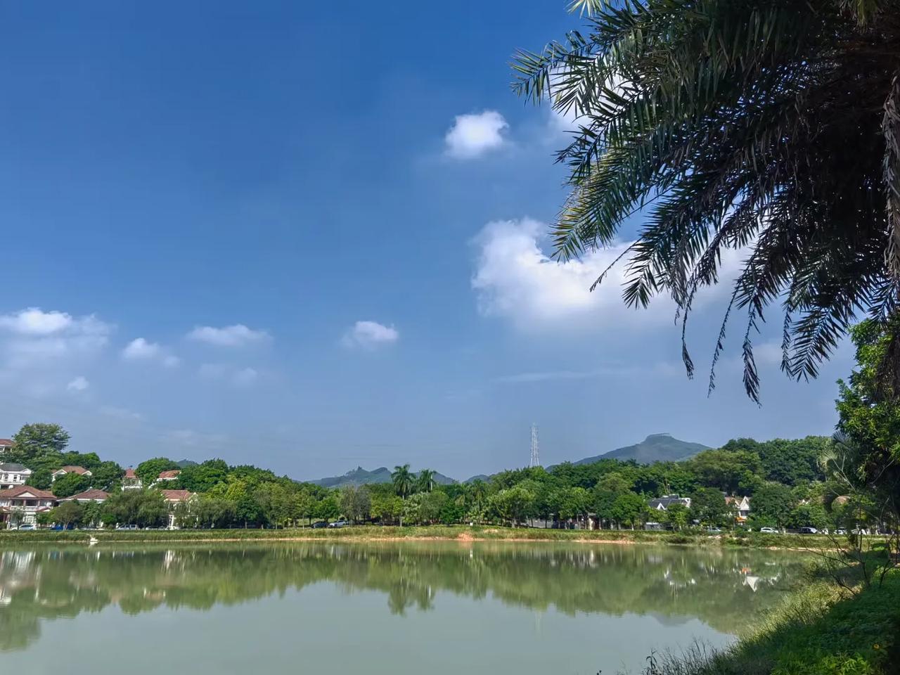 #一个人旅行是什么体验#
喜欢秋天的[耶]
阳光明媚[太阳][太阳][太阳]