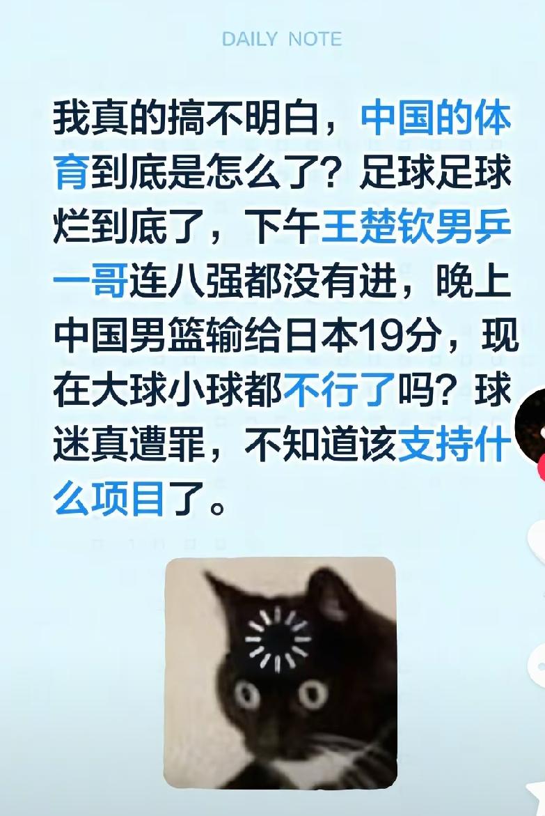 刚刚刷到一位博主的视频，大致意思是说，中国足球、篮球甚至乒乓球都不行了，都不知道
