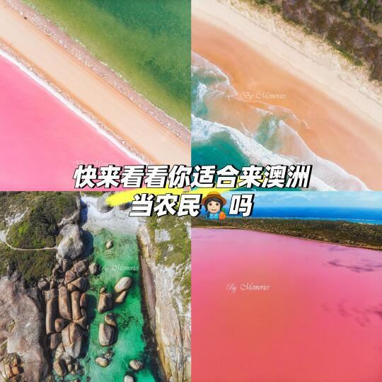 whv做农业的优缺点