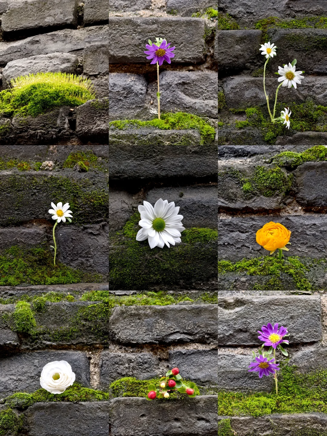 西安城墙变成大花盆