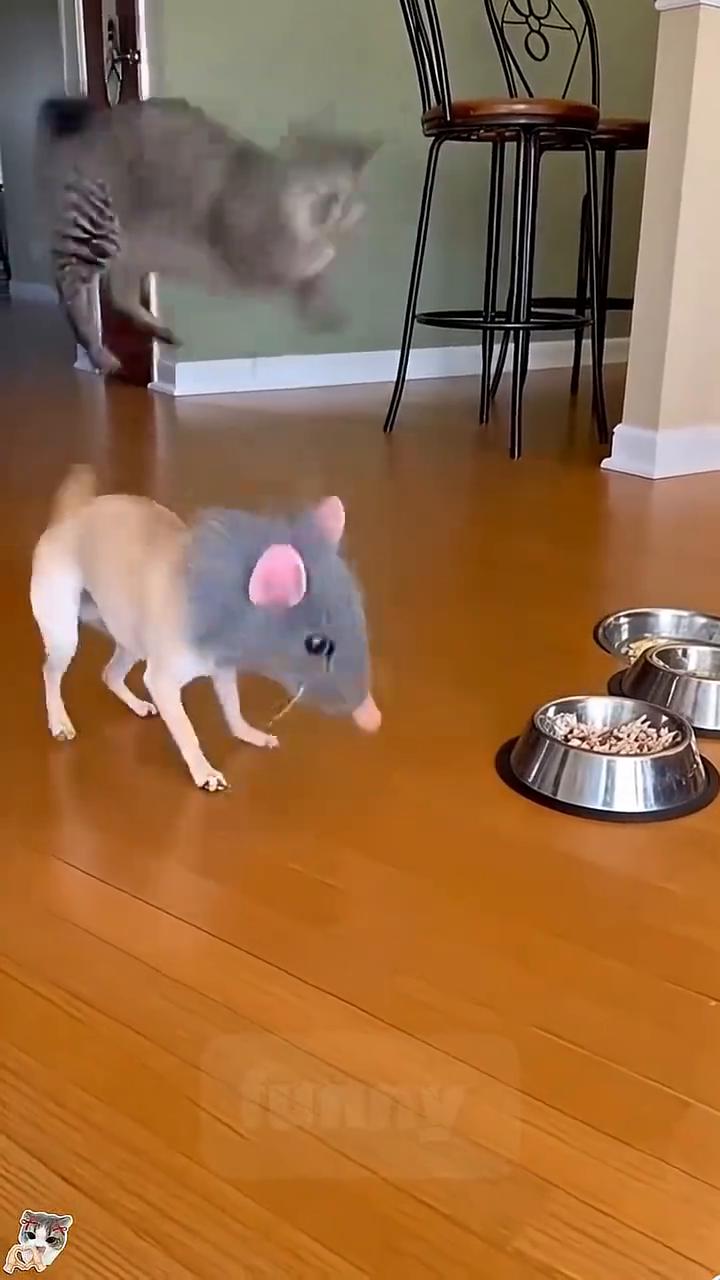 哈哈哈哈。