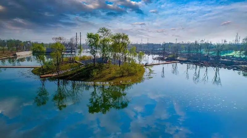 风的独白：若为自由故，万物皆可抛

今儿咱们单说一桩关于“投胎选择”的灵魂拷问。