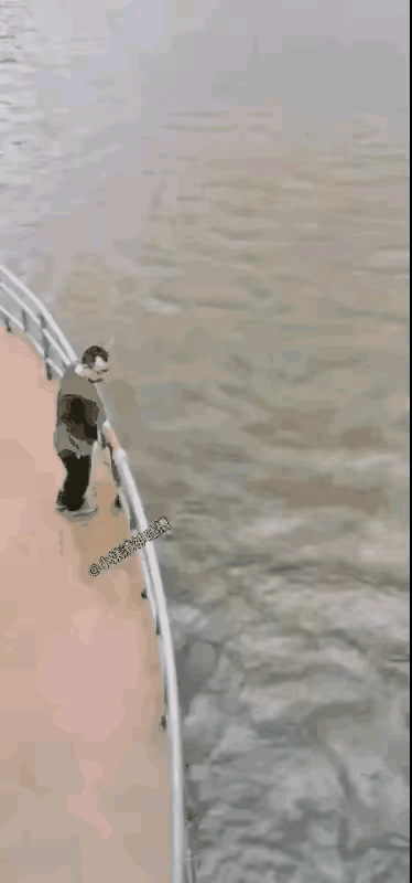 这飞来的鱼是横财还是横祸？男子悠然转身绅士势风度[赞]
