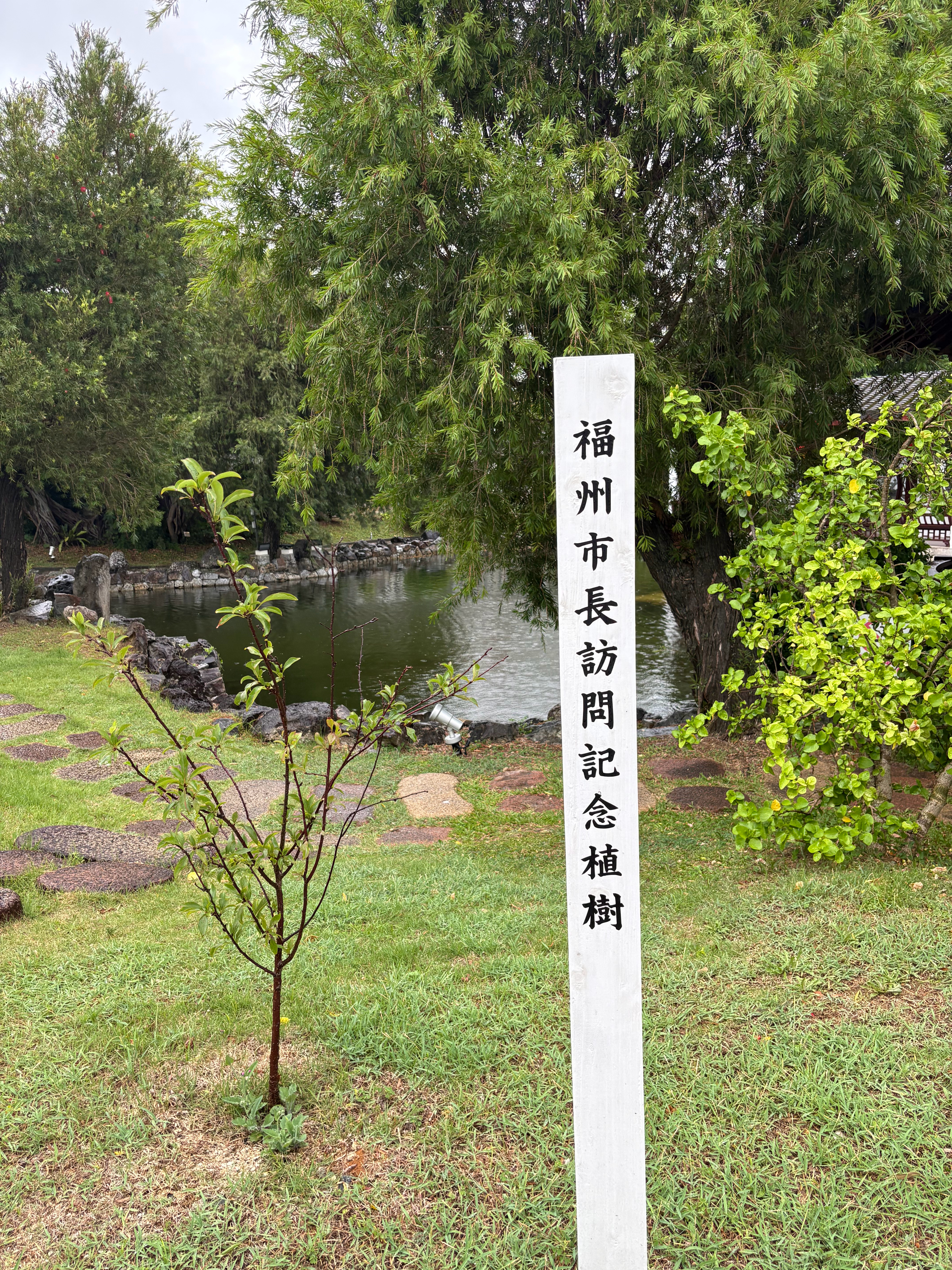 台风天 也是在日本逛上福州公园了…看这白塔乌塔榕树左海…很想回家了冲绳真是福建友
