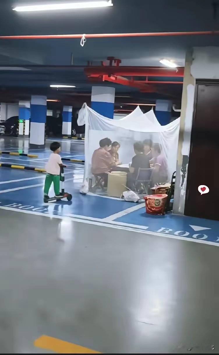 三伏天，热死狗！
几位阿姨借着地下车库阴凉气，支起蚊帐打牌，既凉快又省电费，这种