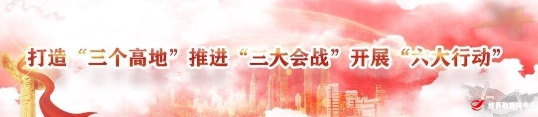 [油菜花儿开攸县等您来]花海为媒觅良缘——2026攸县油菜花节青年联谊活动浪漫上演