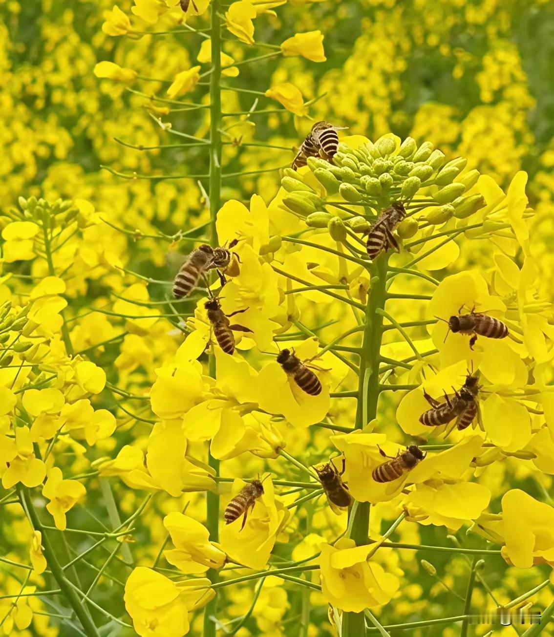 一定要远离这五样东西，否则一生尽毁
 
1. 远离沉迷游戏：毁掉的不是时间，是斗
