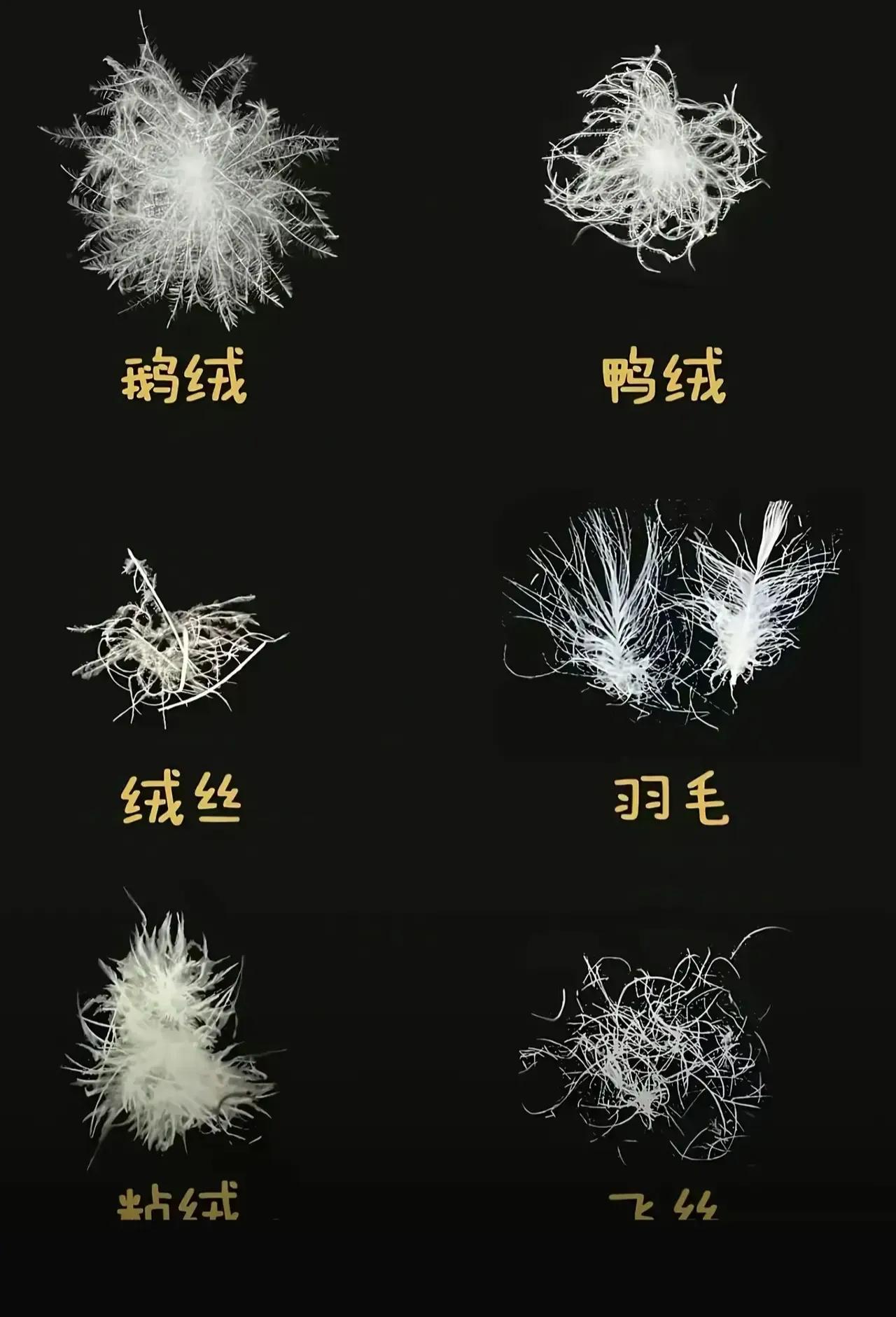 女子直播间买的羽绒服，拆开验货发现里面填充的不是羽绒，而是飞丝。飞丝和羽绒相差十