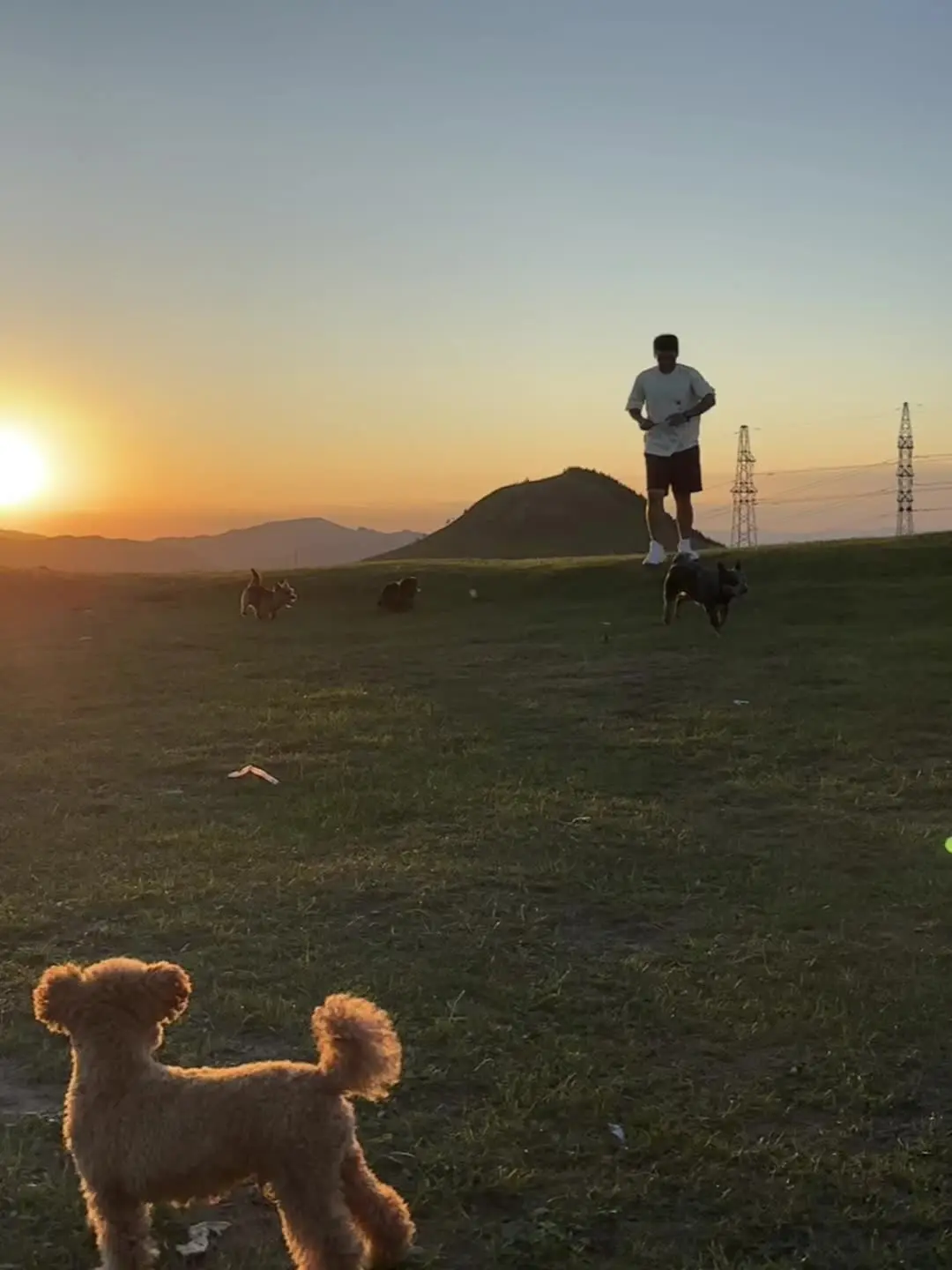 落日避暑｜带小狗北京近地高海拔夜不归宿