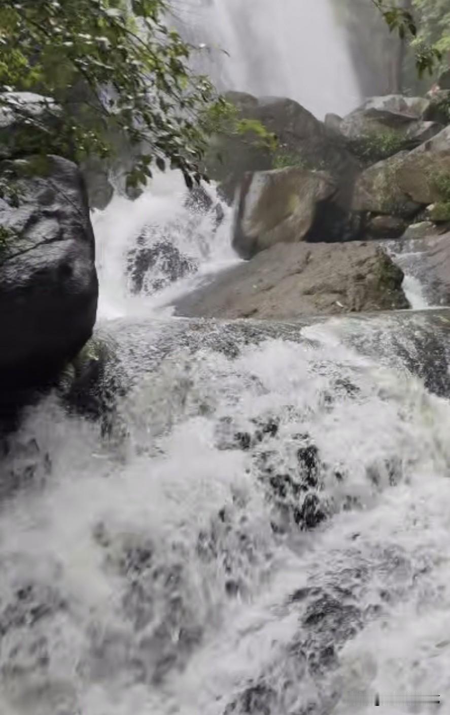 夏日生活打卡季山间飞瀑奔涌而下，激流撞击嶙峋黑石，翻涌层层雪白浪花。枝叶垂落崖边
