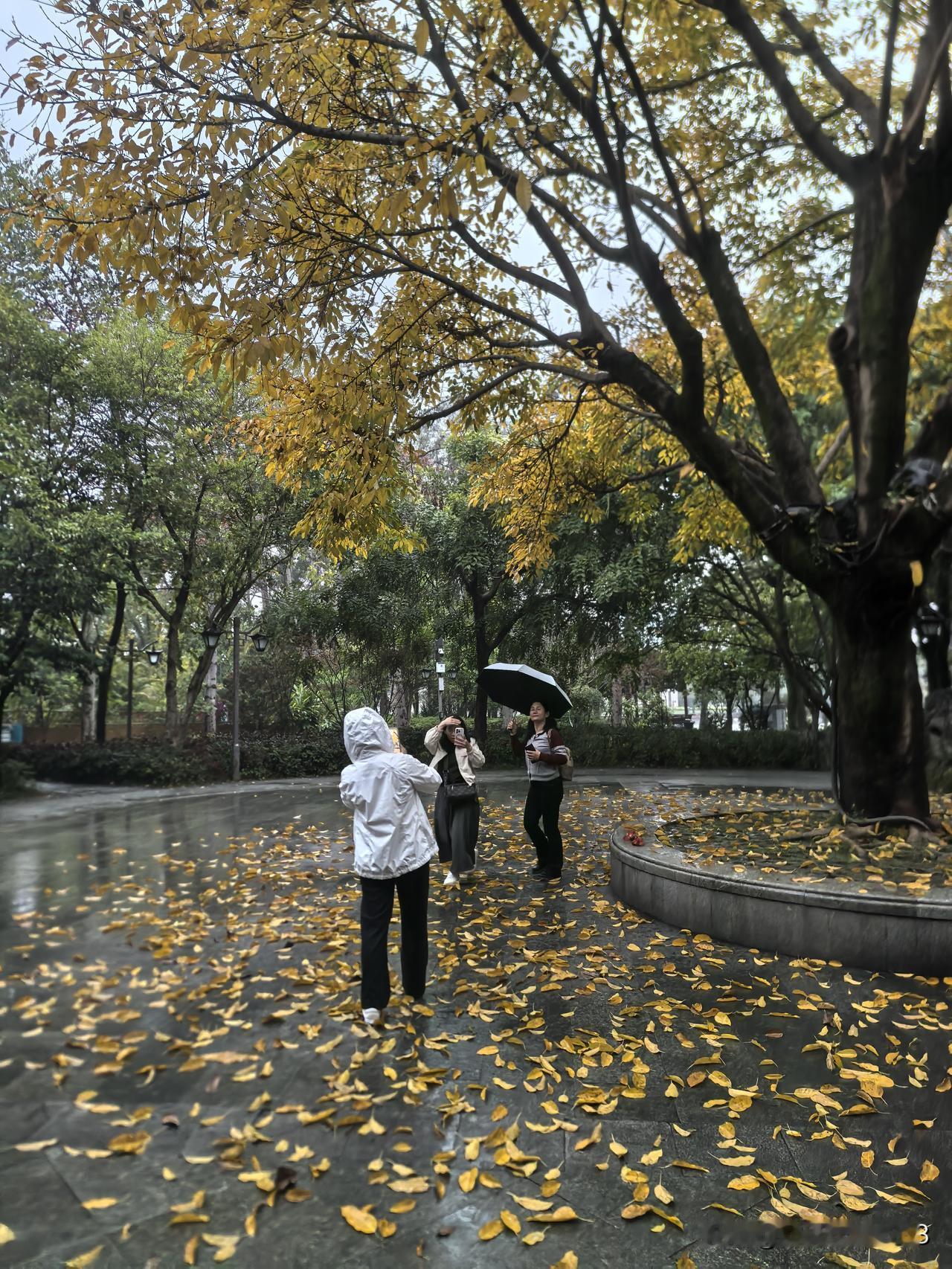 雨，是清明节不可或缺的元素。只因“清明时节雨纷纷”这句诗，清明节的雨便承载着人们