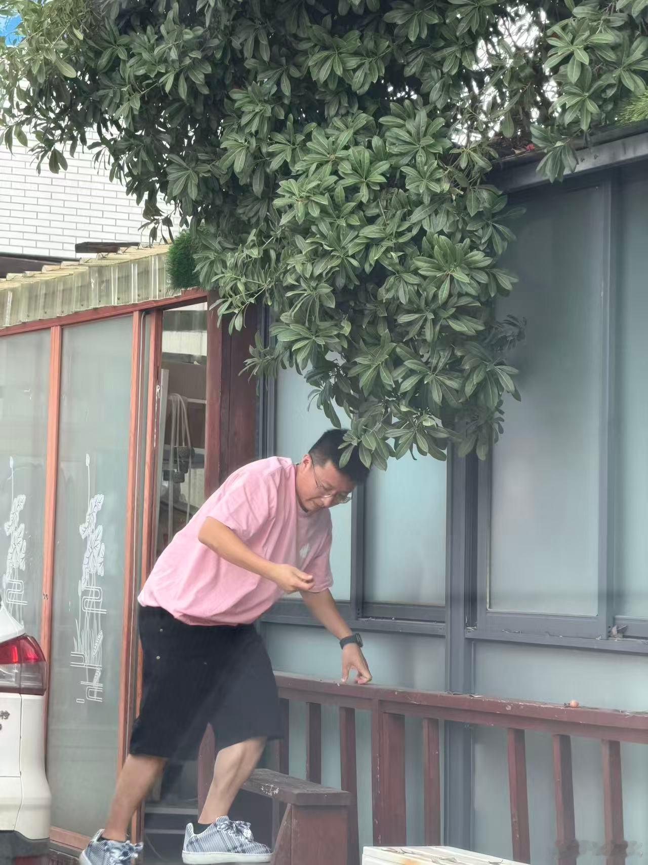 第一次见到杨梅的我 苏州