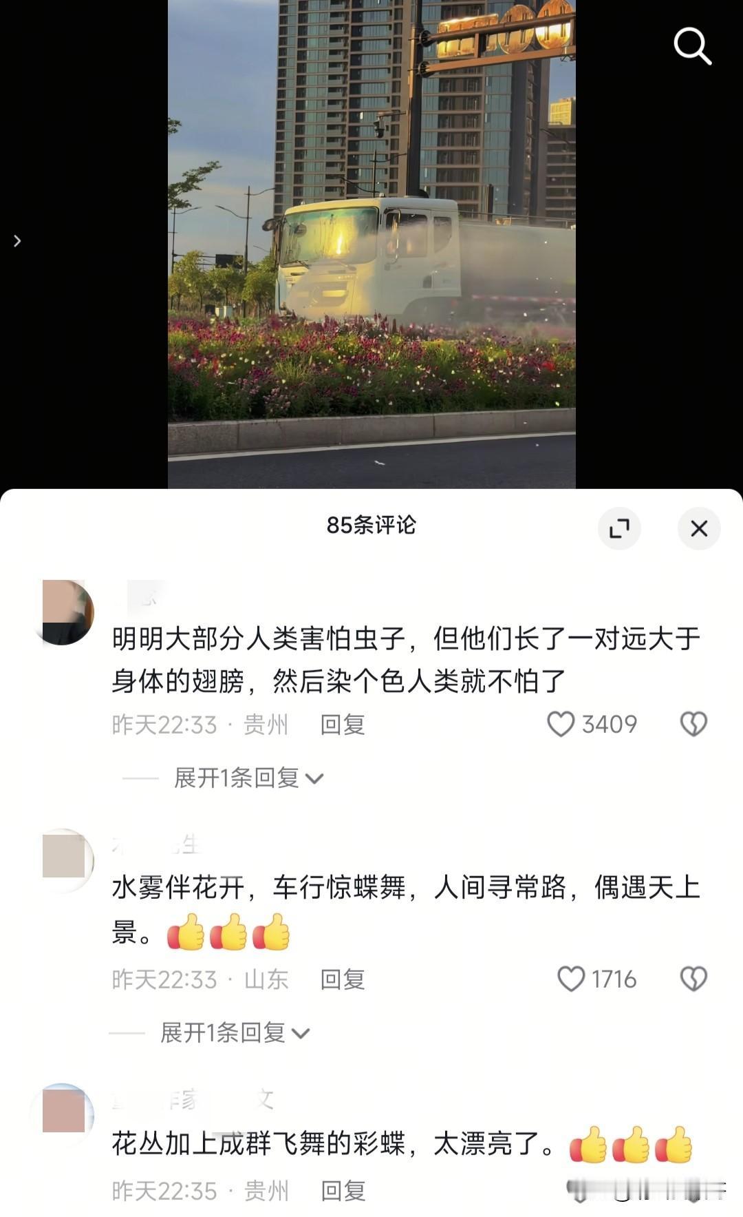 一段蝴蝶飞舞的视频，看到了一个点赞很高的评论