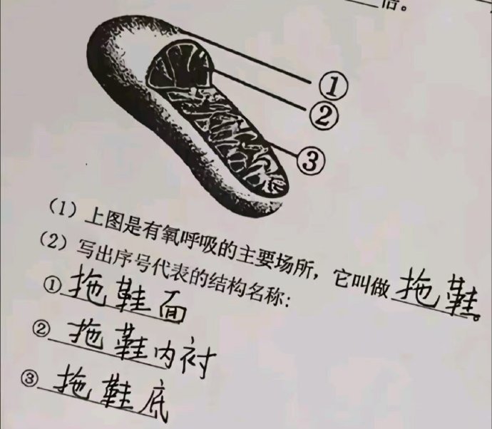 我支持拖鞋也有呼吸的权力