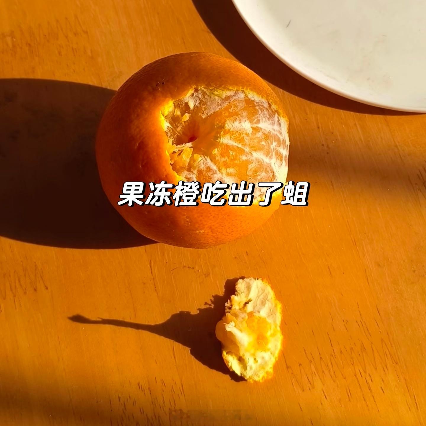 橘子我从未怀疑过你这真的不是危言耸听，我有个亲戚家门口的橘子树，每年长出来的橘子