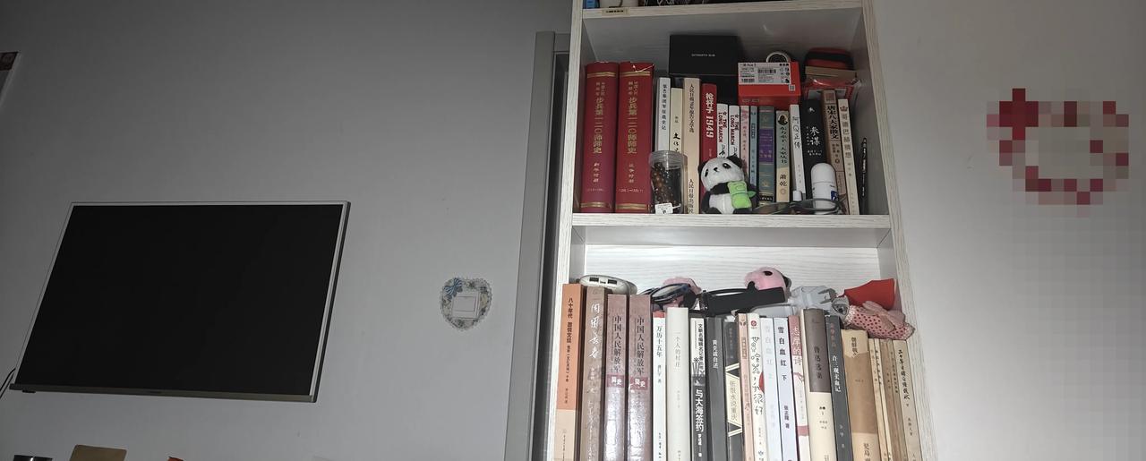 凌晨两点半的时候，又被刘妈的呼噜打醒了，又搅没了几个春心荡漾的美梦，心里很是凄凉