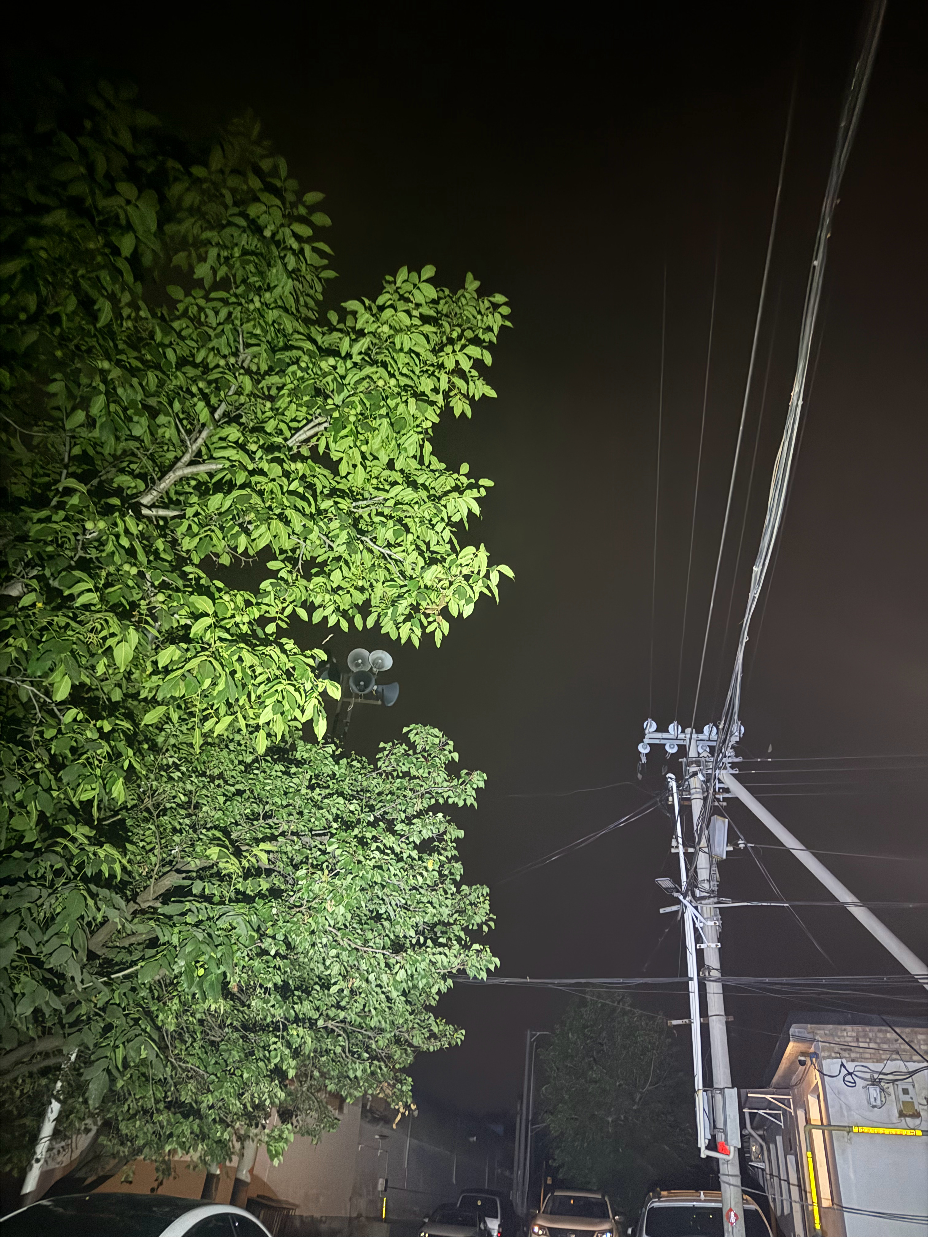 我太难了都快凌晨四点了，看见有一个快递生鲜的还没取……要是等我睡醒了再去肯定就坏