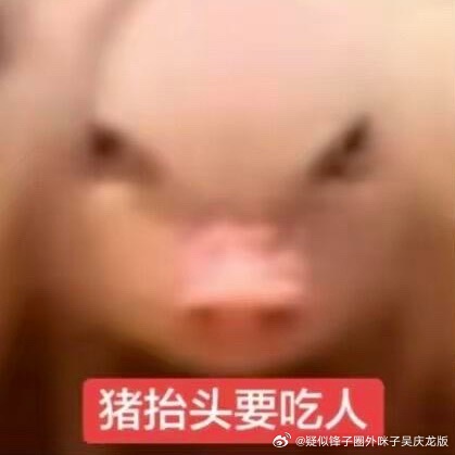 真想当古惑仔，然后去荡平广东省东莞市南城街道宏远路与宏远路二街交叉口南100米[