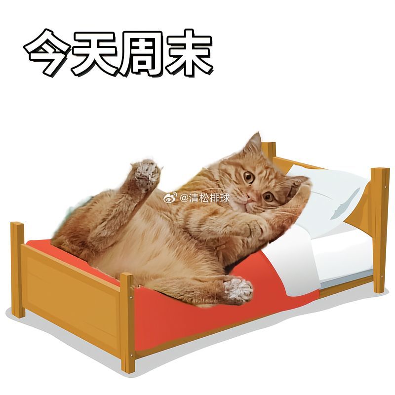 早安清松排球🏐清松排球的早安