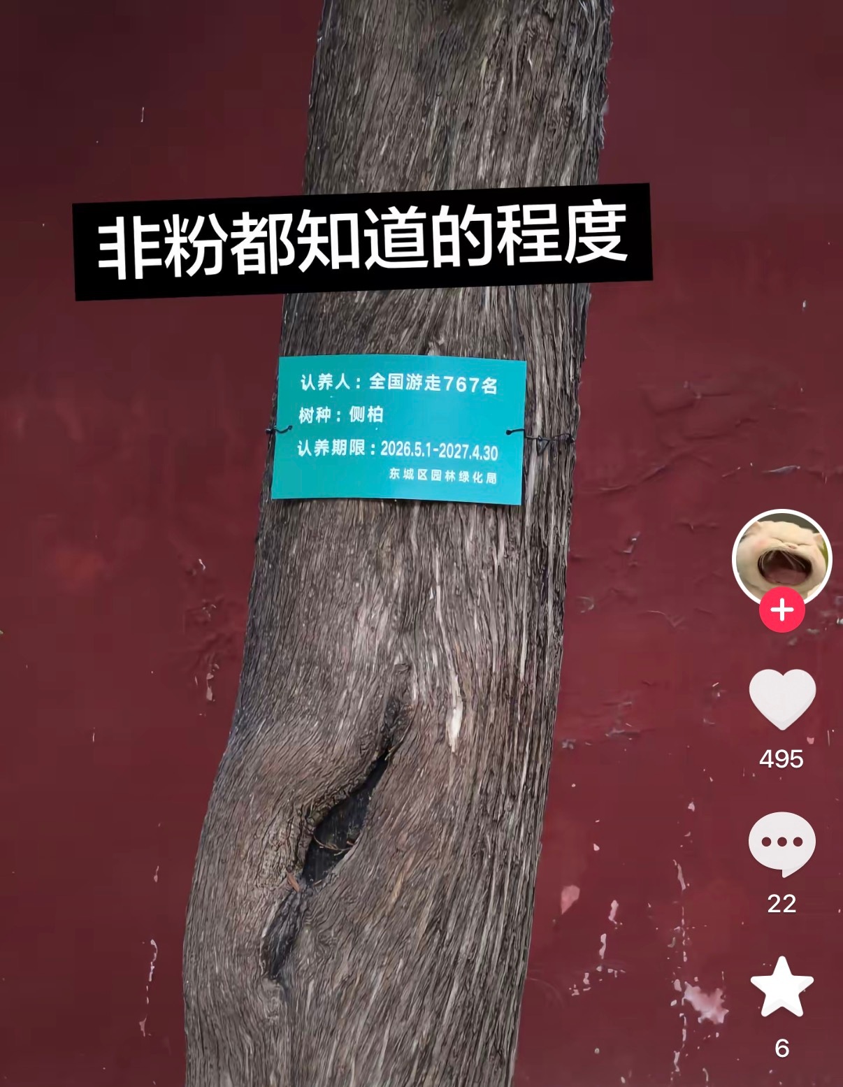 哈哈樱子娘宠孩子第一名 