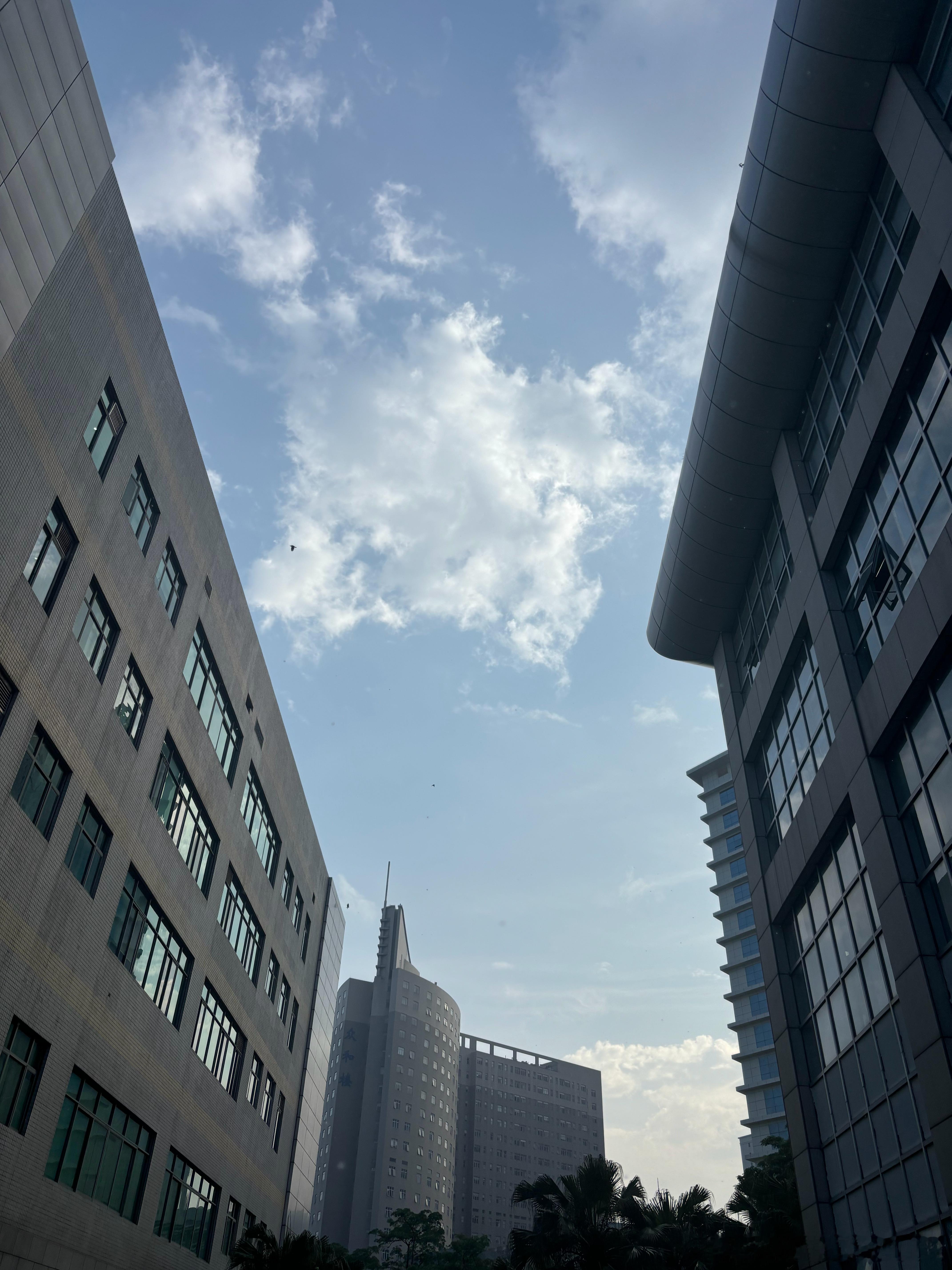 台风巴威强度减弱    不知道是不是台风的影响，大早上，好蓝的天空，突然下起了雨